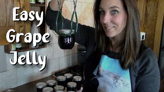 Easiest Way to Make Grape Jelly  Using Store Bought Juice [upl. by Amej]