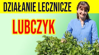 💥LUBCZYK  działanie lecznicze STAWY NERKI DETOKS cz 1 [upl. by Calica80]