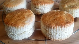 HOW TO MAKE BASIC SCONES RECIPE  Easy Scones Recipe [upl. by Ahsas925]