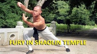 Wu Tang Collection  Fury In Shaolin Temple [upl. by Padegs]