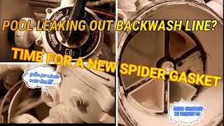 How to Replace a Multiport Gasket Spider gasket replacement on a multiport valve Backwash leaking [upl. by Anaiviv]