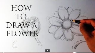 How to Draw a Flower  Easy Drawings [upl. by Husha]