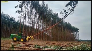 5 Árvores Frutíferas mais fáceis de plantar em Vasos PRODUÇÃO ACELERADA [upl. by Waite332]