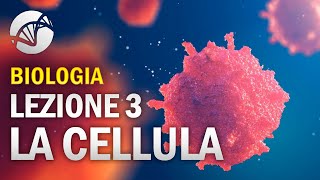 BIOLOGIA  Lezione 3  La Cellula Eucariota [upl. by Diley175]