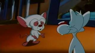 Pinky y Cerebro Español Latino [upl. by Emyle]