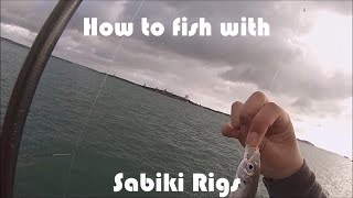 NZ Basic Fishing  Tutorial  How to use Sabiki Rigs [upl. by Albrecht]