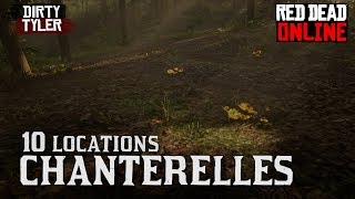 Chanterelle Locations Red Dead Online RDR2 Daily Challenges [upl. by Uni773]