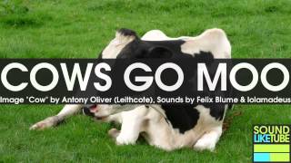 COW MOO SOUNDS for 6 Hours [upl. by Oidacra]