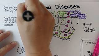 Diarrheal Diseases Part 1 [upl. by Revlis]