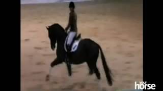 5 years old Valegro amp Charlotte Dujardin  Your Horse Live Clinic [upl. by Htennek840]