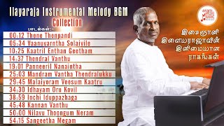 The Maestro  Ilayaraja Instrumental BGM Volume 02  Aram Music [upl. by Areht]