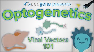 Optogenetics  Viral Vectors 101 [upl. by Bander]