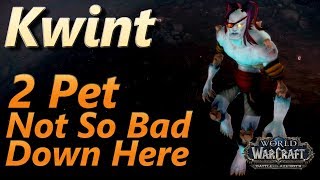 Kwint 2 Pet Leveling Strategy Pet Battle World Quest Not So Bad Down Here BFA [upl. by Bramwell551]