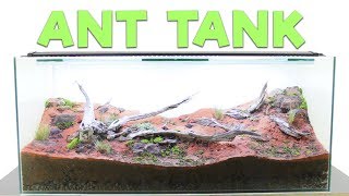 How to Build an Ant Farm  Natural Formicarium [upl. by Anilosi]