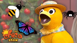 Chica Learns About Bugs 🐛 The Chica Show  Universal Kids Preschool [upl. by Padget]