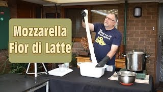 How to Make Real Mozzarella At Home [upl. by Ecilef890]