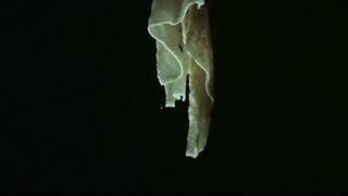 Whats the difference between stalactites and stalagmites [upl. by Ecissej]