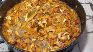 Cooking Chanterelle Mushrooms Dry sautéed method [upl. by Nnylaj49]