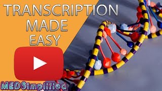 Transcription Made Easy From DNA to RNA 2019 [upl. by Arayt]