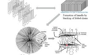 Polymer Crystallization [upl. by Harmon]