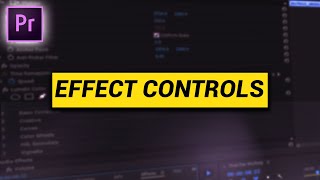 How to use the EFFECT CONTROLS in Adobe Premiere Pro [upl. by Annyl]