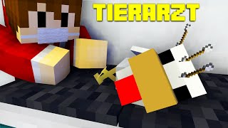 Tierarzt in Minecraft  Minecraft Abenteuermap  LarsLP [upl. by Ruhtracam]