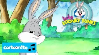 Baby Looney Tunes  SONG Baby Bunny Song  Cartoonito [upl. by Drareg730]