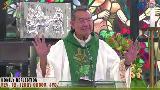 𝗛𝗘𝗟𝗣 𝗨𝗦 𝗟𝗢𝗥𝗗  Homily 20 August 2023 with Fr Jerry Orbos SVD [upl. by Yrffej]