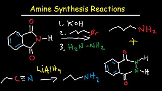 Amine Synthesis Reactions Organic Chemistry  Summary amp Practice Problems [upl. by Ainot]