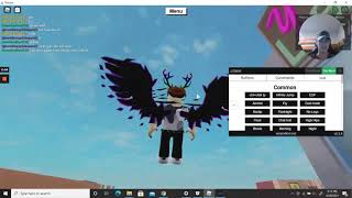 HOW TO FLY IN ANY ROBLOX GAME WORKING MAY 2023 [upl. by Aniaz76]