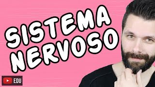 SISTEMA NERVOSO  FISIOLOGIA  Aula  Biologia com Samuel Cunha [upl. by Yeroc724]