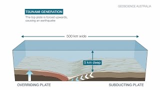 Tsunami caused by earthquakes [upl. by Essyla]