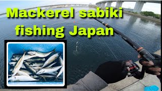 Japan traditional fishing HOW TO CATCH MACKEREL FISH SHORE FISHING JAPAN ep3  sabiki fishing [upl. by Sadick840]