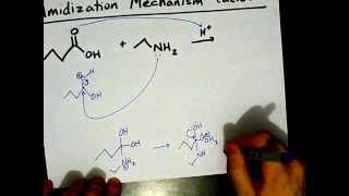 How to Make Amides Mechanism [upl. by Viviane845]