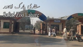 Safari Zoo Lahore  Safari Park Lahore  Lahore Park  NafeesPakistan [upl. by Nosam]