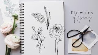 How to Draw Flowers  Step By Step Hyacinth Magnolia and Ranunculus [upl. by Nonnarb]