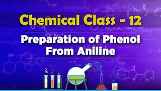 Preparation of Phenol From Aniline  Alcohols Phenols and Ethers  Chemistry Class 12 [upl. by Esila]