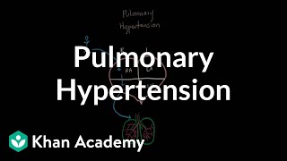 What is pulmonary hypertension  Respiratory system diseases  NCLEXRN  Khan Academy [upl. by Yanetruoc]