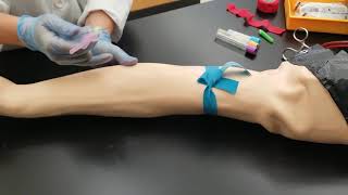 Phlebotomy Venipuncture Procedure [upl. by Letizia974]