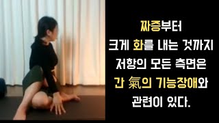 꿀잠요가 셀프 경락마사지 자꾸만 화가 나서 힘들다면 간담 경락을 풀어주세요31초부터 본수련이 시작됩니다 [upl. by Gwendolyn368]