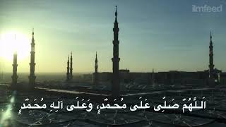 Habibi Ya Rasulullah Tamer Hosny LYRICS BEST SONG [upl. by Ellenehc]