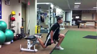 DUMBBELL SINGLE LEG SQUAT [upl. by Lemire]