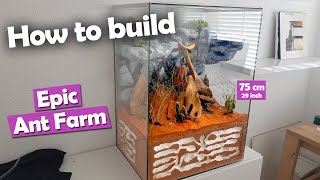 How to Build an EPIC Ant Farm  DIY Formicarium [upl. by Anivas]