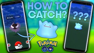 HOW TO CATCH SHINY DITTO IN THE WILD in POKEMON GO [upl. by Ecyned]