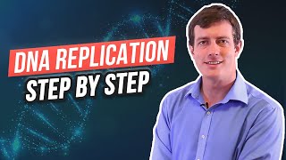 6 Steps of DNA Replication [upl. by Christalle]