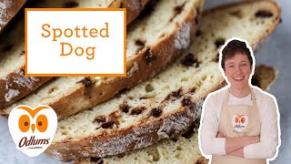 1 Minute Bakes  Spotted Dog BreadCorny Bread  Odlums [upl. by Nosreve]