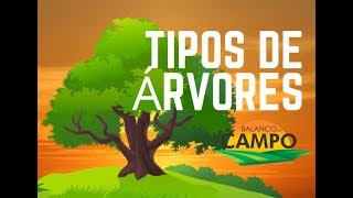 Tipos de árvores [upl. by Tohcnarf]