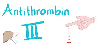 Antithrombin III  How Heparin Works [upl. by Trish]