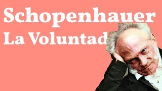 Schopenhauer La Voluntad [upl. by Clougher682]