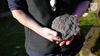 How to classify a rock basalt [upl. by Eniowtna]